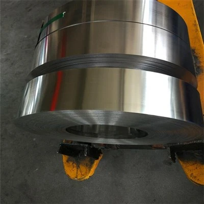 CIRKONIO LYDINIS R60702 PLIENAS